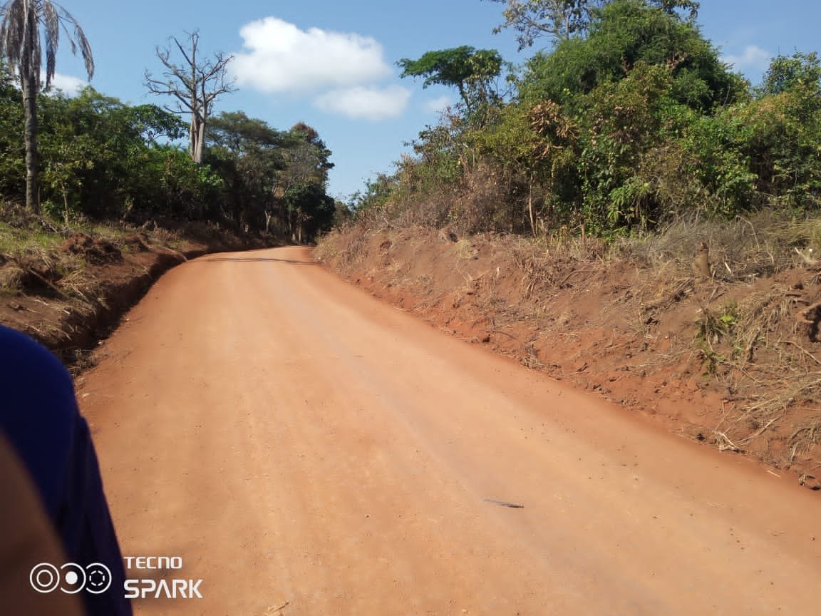 Route rehabilitee